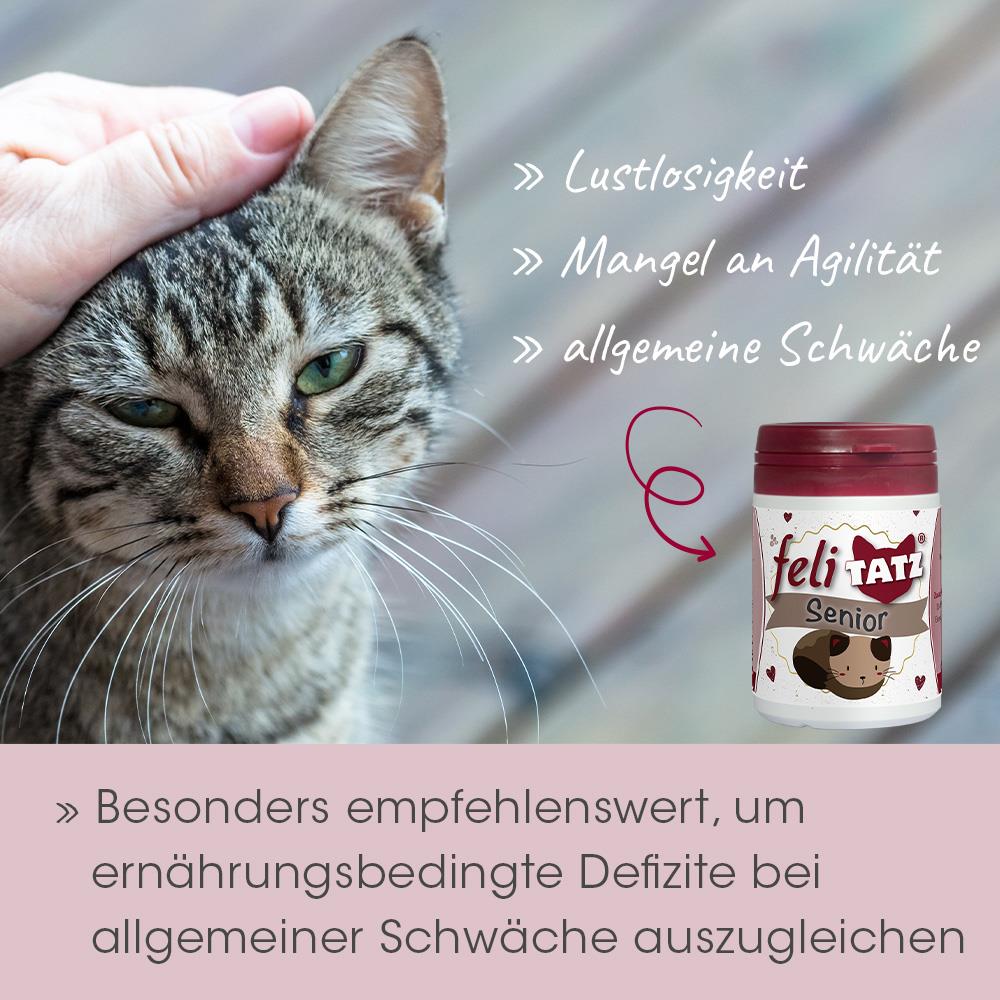 feliTATZ Senior 25 g
