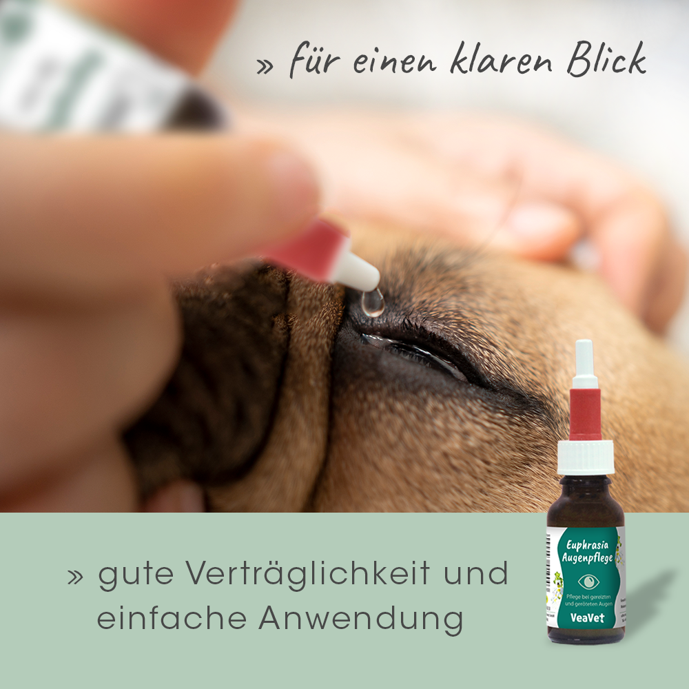 Körperteil, Finger, Hand, Person
