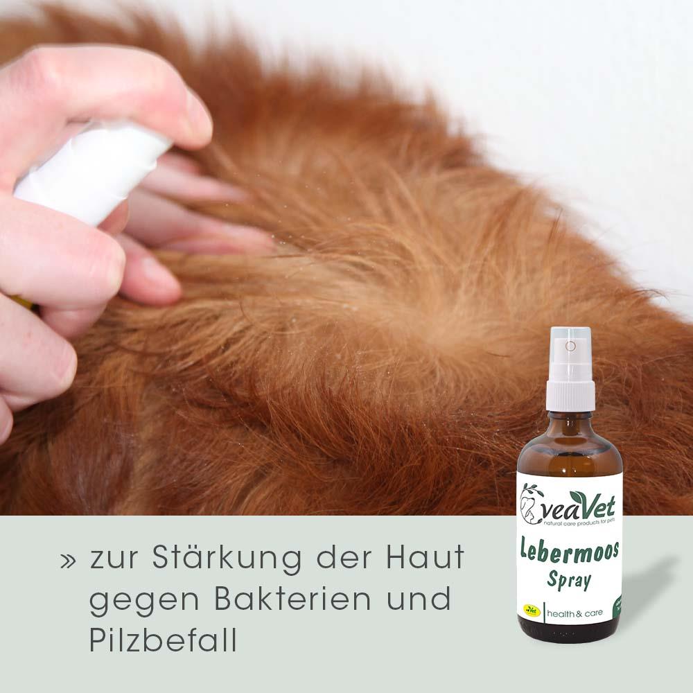 VeaVet Lebermoos Spray 20 ml